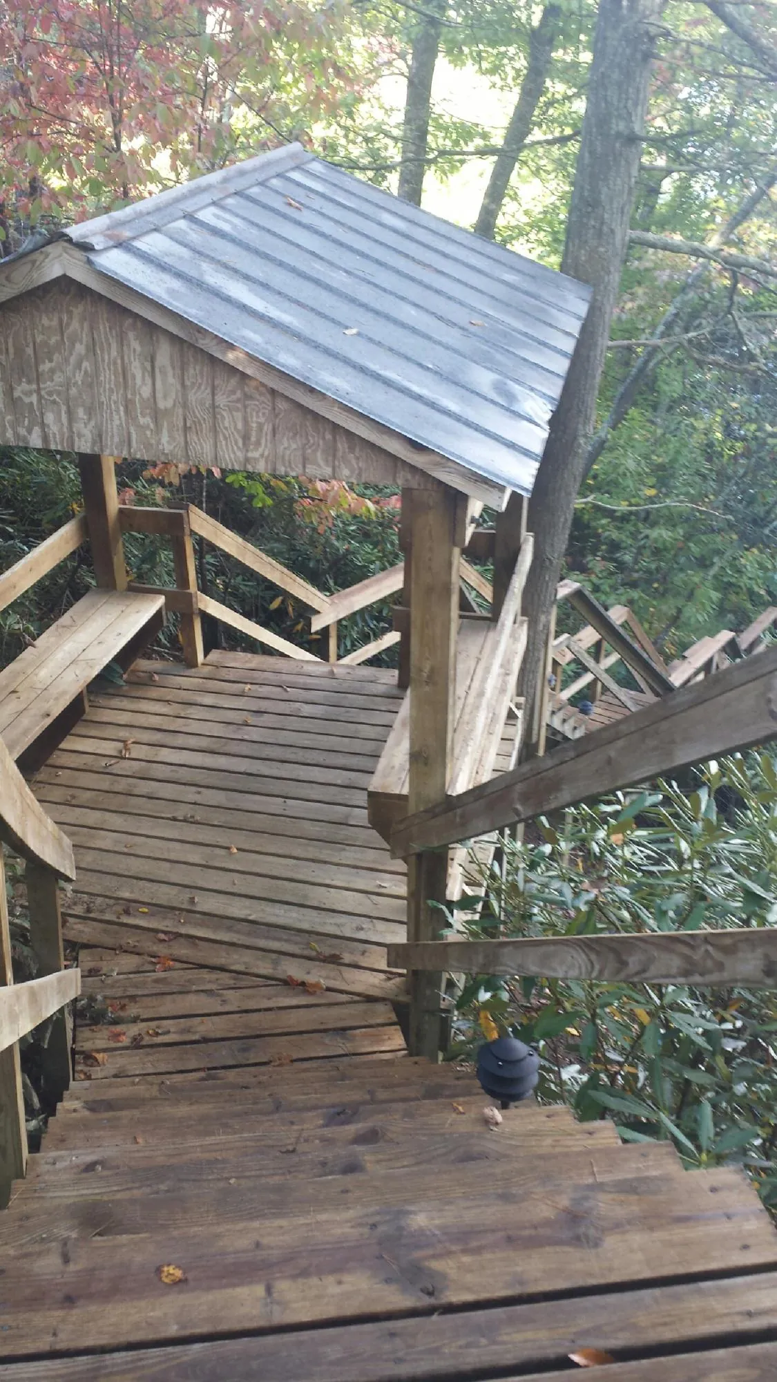 Metal roofed shelter over wooden steps on a wooded walkway — Skylight Repair & Installation work by our crew in Ocoee